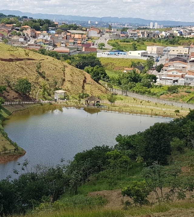 T1117 33.jpg